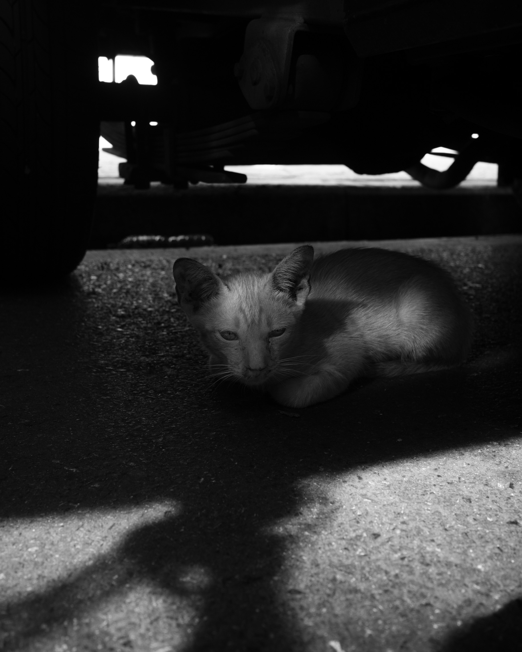 Photo 09