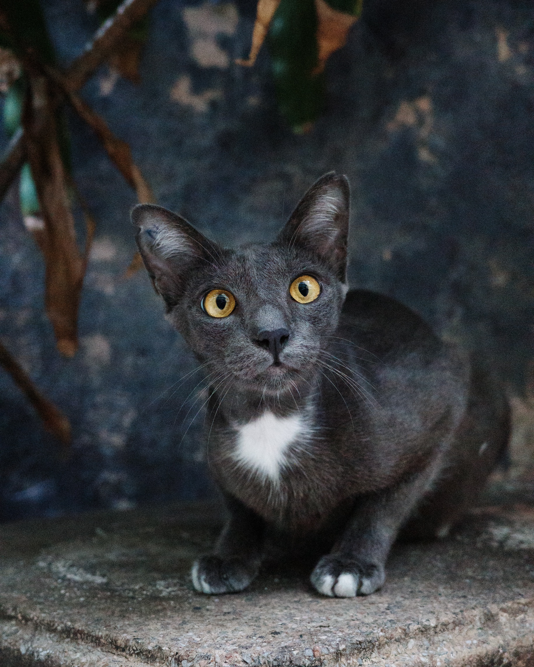 Photo 06